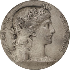 France, Medal, French Third Republic, Politics, Society, War, Dupuis.D, TTB