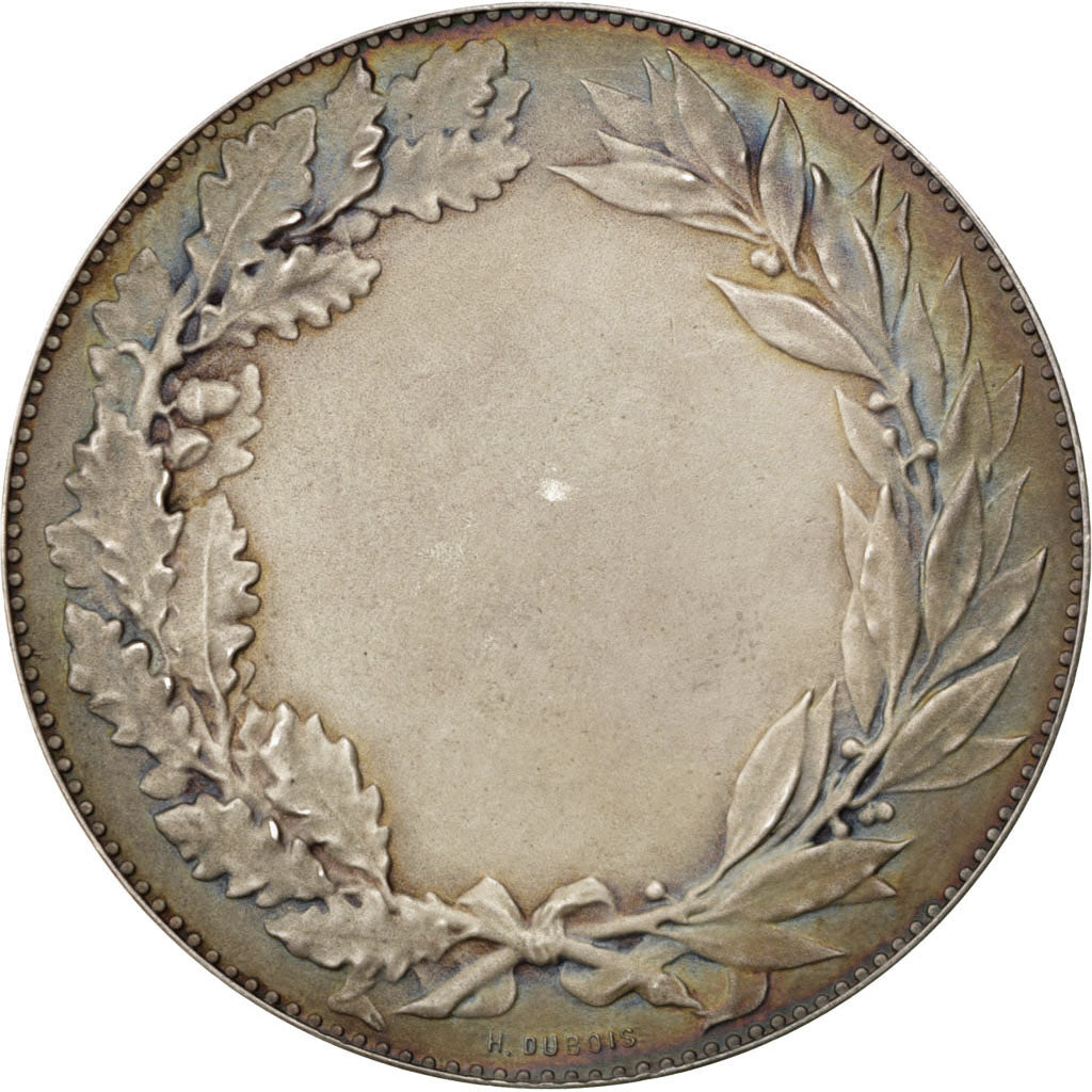 France, Medal, French Third Republic, Politics, Society, War, Dubois.H
