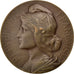 France, Medal, French Fourth Republic, Politics, Society, War, 1953, Cariat