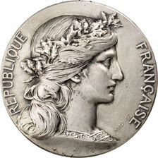France, Medal, French Third Republic, Politics, Society, War, Dupuis.D, SUP