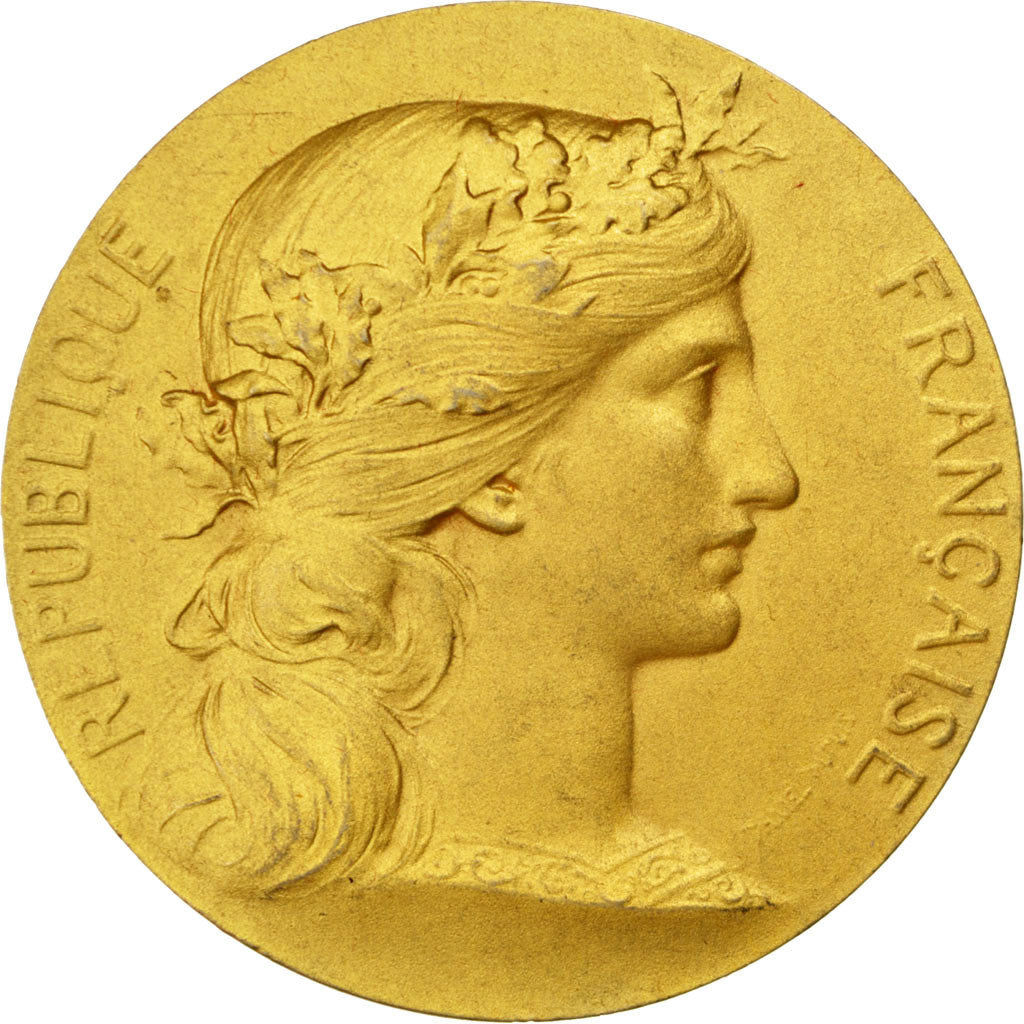 FRANCE, Politics, Society, War, French Third Republic, Medal, AU(55-58),...