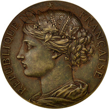 France, Medal, French Third Republic, Politics, Society, War, 1914, AU(55-58)