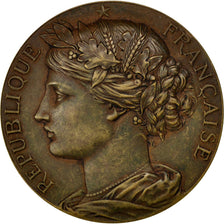 Frankrijk, Medal, French Third Republic, Politics, Society, War, 1914, PR