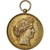 France, Medal, French Third Republic, Arts & Culture, 1883, TTB+, Vermeil