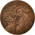 France, Medal, French Third Republic, Business & industry, Dropsy, AU(50-53)