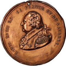 Louis XVIII, Médaille