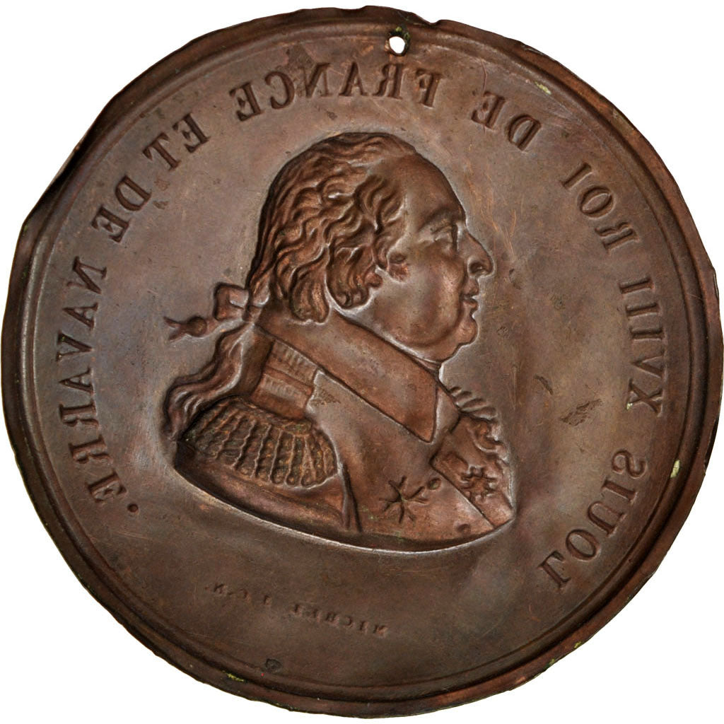 Louis XVIII, Médaille
