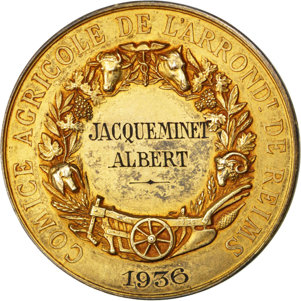 FRANCE, Business & industry, French Third Republic, Medal, AU(55-58), Oudiné, V.