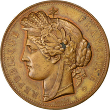 France, Medal, French Third Republic, Sciences & Technologies, 1889, Oudiné
