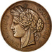 France, Medal, French Third Republic, Sciences & Technologies, 1878, Oudiné