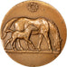Francja, Medal, Piąta Republika Francuska, Sport i wypoczynek, AU(50-53)