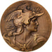 France, Medal, French Third Republic, Politics, Society, War, Bottée