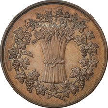 Francja, Medal, Trzecia Republika Francuska, Biznes i przemysł, AU(55-58)