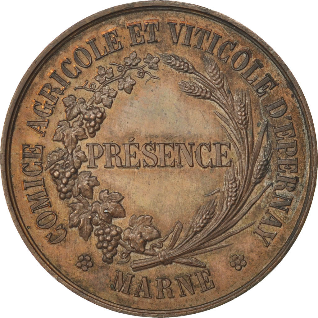 Francja, Medal, Trzecia Republika Francuska, Biznes i przemysł, AU(55-58)