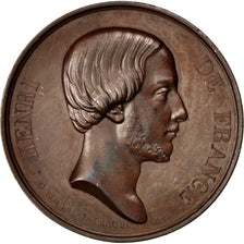 Marie Thérèse Comtesse de Chambord et Henri de France, Médaille