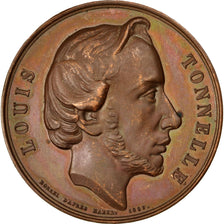 Ecole de Médecine et de Pharmacie de Tours, Médaille