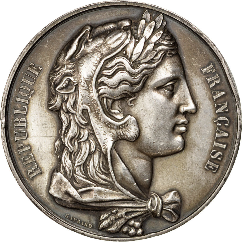 FRANCE, Politics, Society, War, French Third Republic, Medal, 1881, AU(55-58),..