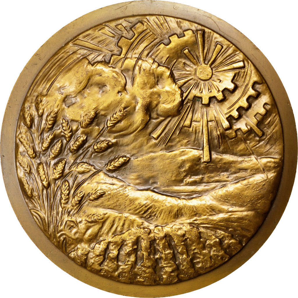 Département de la Marne, Médaille
