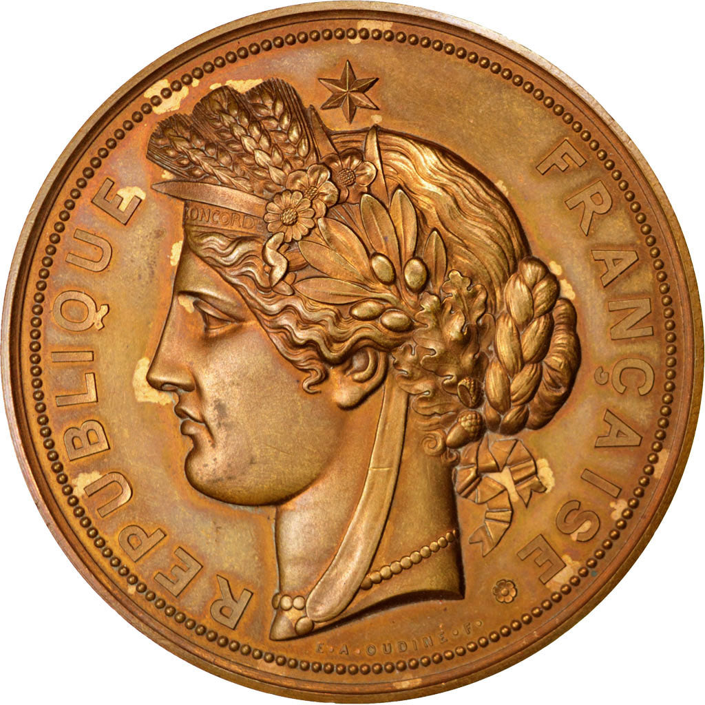 FRANCE, Politics, Society, War, French Third Republic, Medal, 1887, MS(60-62),..
