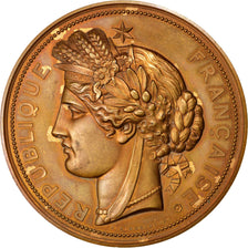 FRANCE, Politics, Society, War, French Third Republic, Medal, 1887, MS(60-62),..