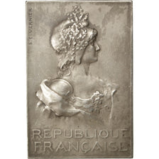 FRANCE, Politics, Society, War, French Third Republic, Medal, AU(50-53),...