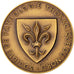 France, Medal, French Fifth Republic, Medicine, 1965, AU(55-58), Bronze