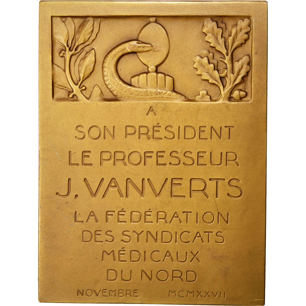FRANCE, Medicine, French Third Republic, Medal, 1927, AU(50-53), Bronze, 178.90