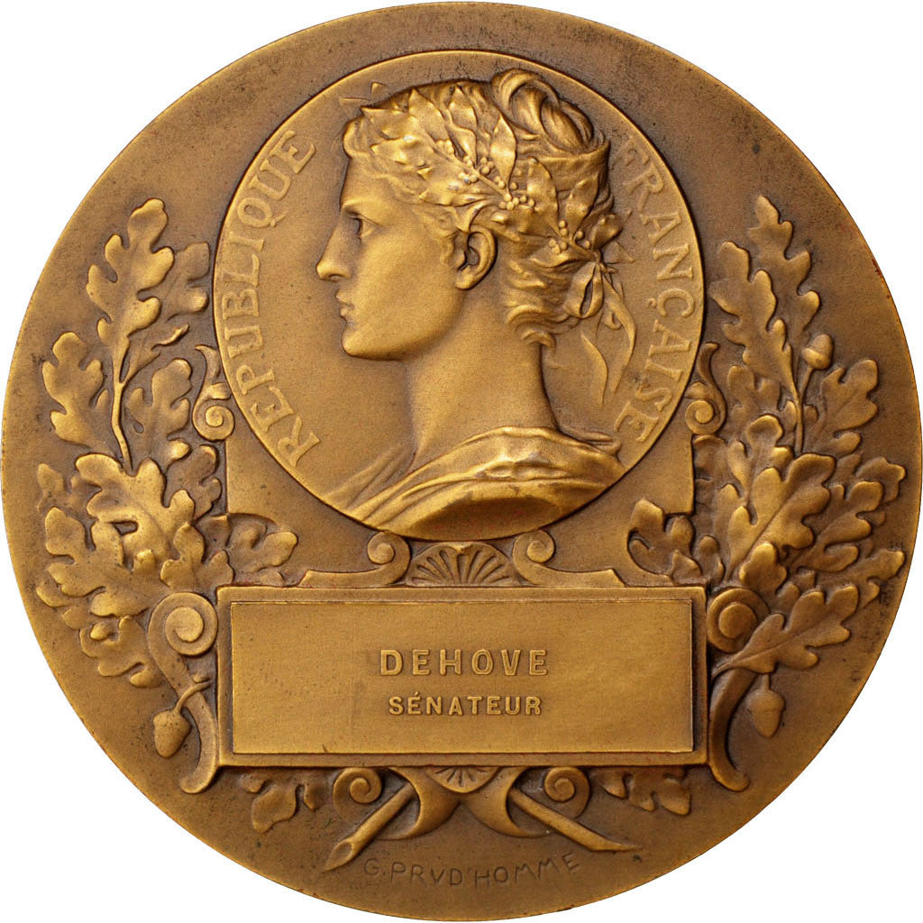 França, Medal, Asssemblée Nationale, Sénateur Dehove, 1920, Prud'homme
