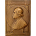 Marcelin Berthelot, Médaille