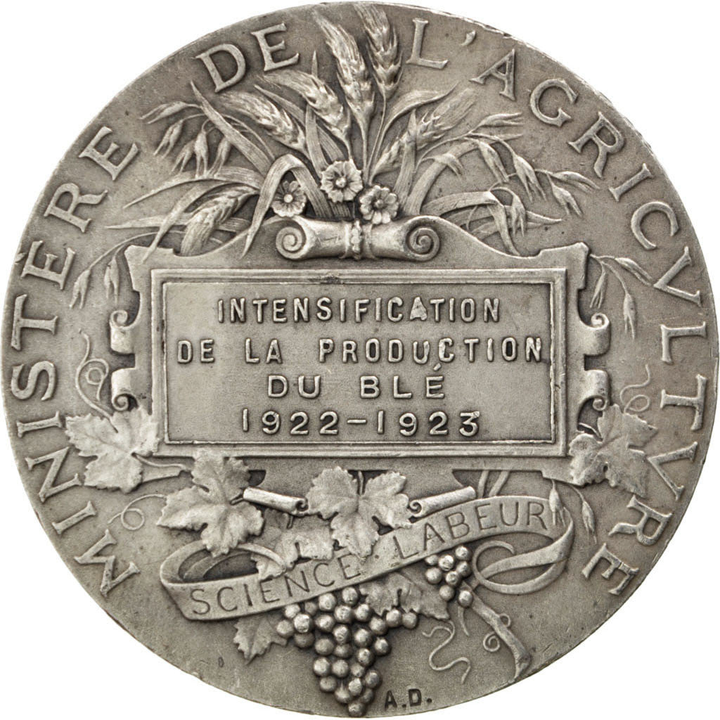 France, Medal, French Third Republic, Sciences & Technologies, 1923, Dubois.A