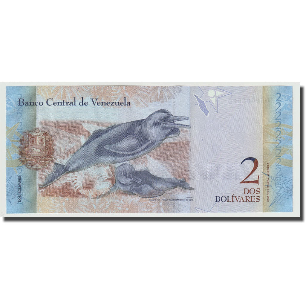 Banknote, Venezuela, 2 Bolivares, 2013, 2013-10-29, UNC(65-70)