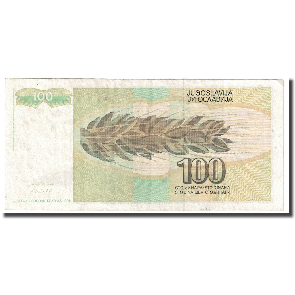 Banknote, Yugoslavia, 100 Dinara, 1991, KM:108, AU(55-58)