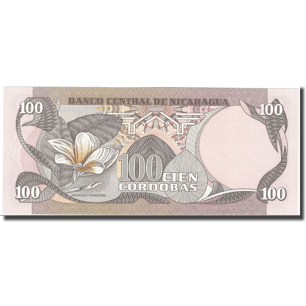 Banknote, Nicaragua, 100 Cordobas, L.1984 (1985), KM:141, UNC(65-70)