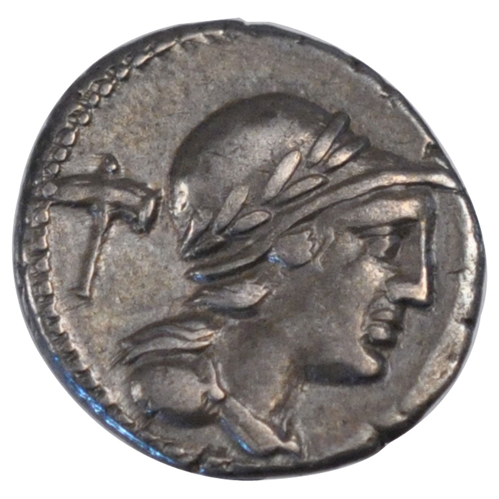 Volteia, Denier