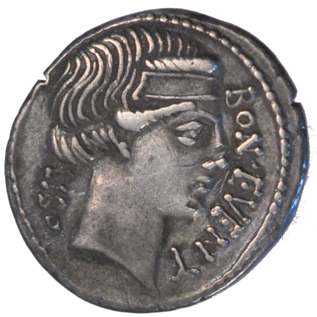 Scribonia, Denarius, AU(50-53), Silver, Babelon #8, 3.80