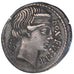 Scribonia, Denarius, AU(50-53), Silver, Babelon #8, 3.80