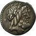 Moneta, Volteia, Denarius, Rome, AU(50-53), Srebro, Babelon:1