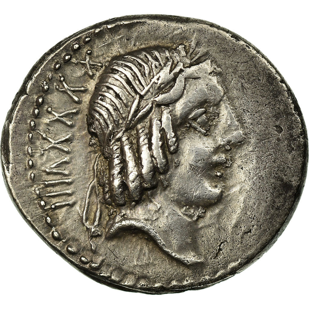 Coin, Calpurnia, Denarius, Rome, AU(50-53), Silver, Babelon:11