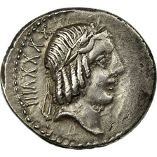 Coin, Calpurnia, Denarius, Rome, AU(50-53), Silver, Babelon:11