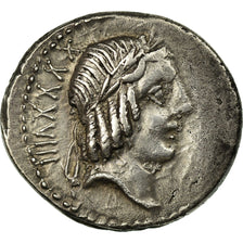 Monnaie, Calpurnia, Denier, Rome, TTB+, Argent, Babelon:11
