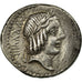 Moneta, Calpurnia, Denarius, Rome, AU(50-53), Srebro, Babelon:11