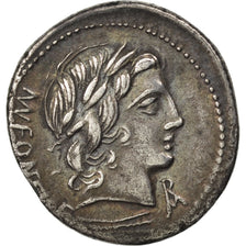 Fonteia, Denier