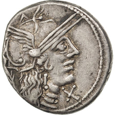 Papiria, Denier