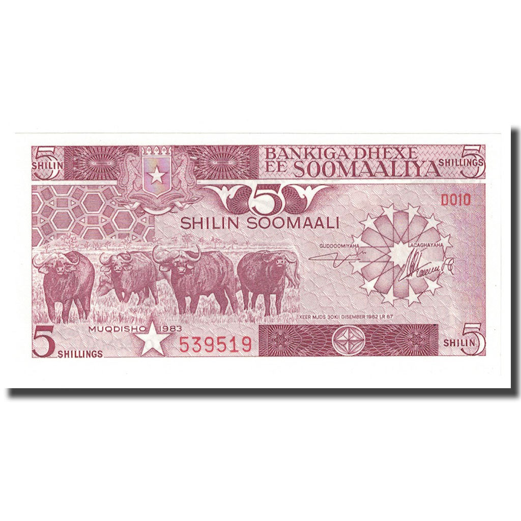 Billet, Somalie, 5 Shilin = 5 Shillings, 1982, 1982-12-30, KM:31a, NEUF