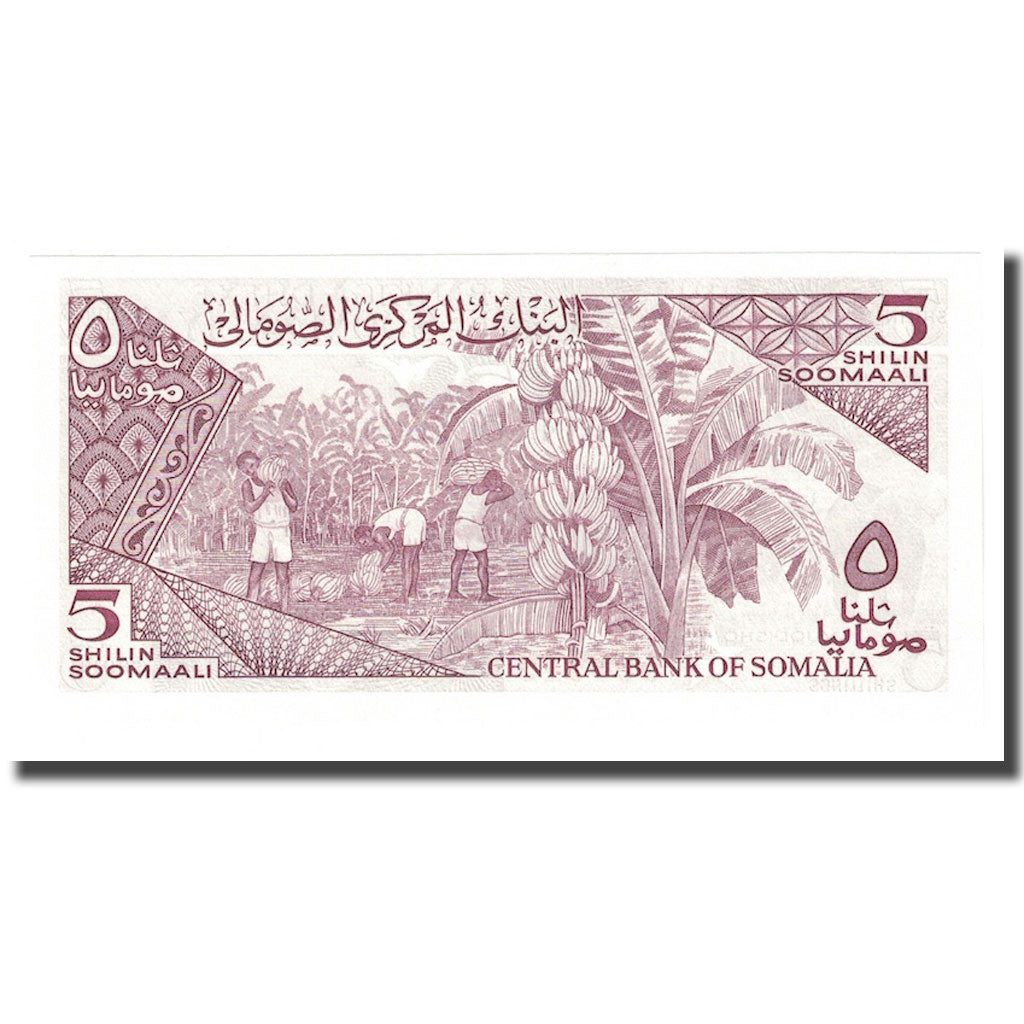 Billet, Somalie, 5 Shilin = 5 Shillings, 1982, 1982-12-30, KM:31a, NEUF