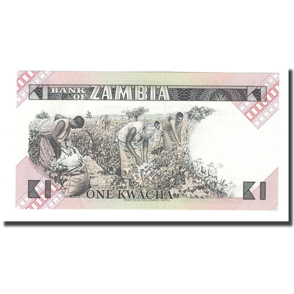 Banknote, Zambia, 1 Kwacha, Undated (1980-88), KM:23a, UNC(65-70)