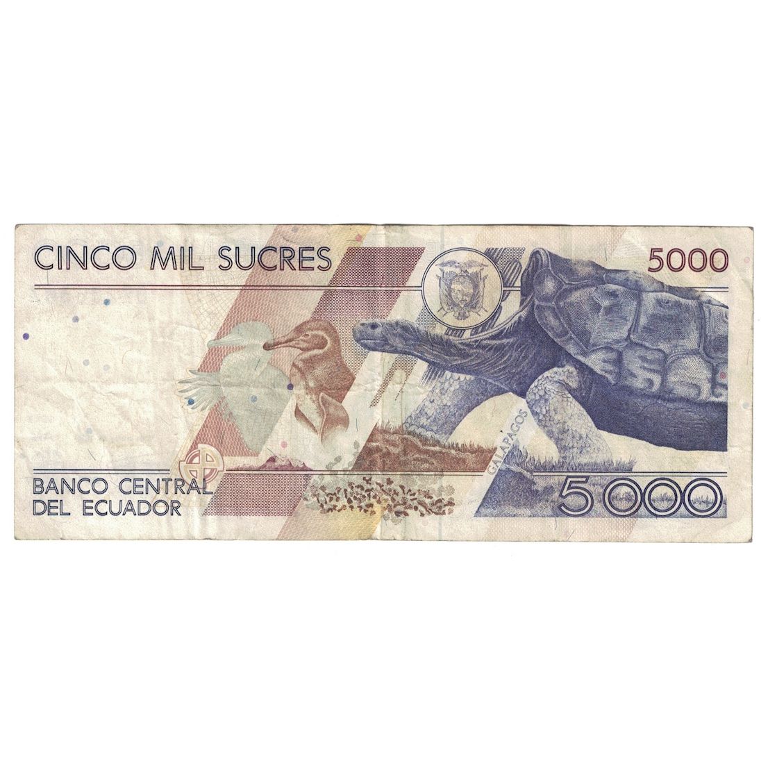Banknote, Ecuador, 5000 Sucres, 1999, 1999-03-06, KM:128c, VF(20-25)