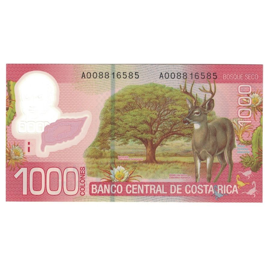 Banknote, Costa Rica, 1000 Colones, 2009, 2009-09-02, KM:274, UNC(65-70)
