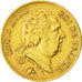 Monnaie, France, Louis XVIII, Louis XVIII, 40 Francs, 1818, Lille, TTB, Or