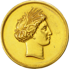 France, Médaille, 1885, TTB+, Or